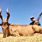 WhatsApp Image 2022-05-15 at 4.17.24 PM