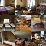 WhatsApp Image 2022-05-15 at 4.17.26 PM