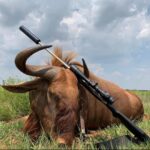 WhatsApp Image 2022-05-15 at 4.17.35 PM