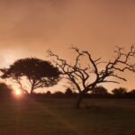 WhatsApp Image 2022-05-15 at 4.18.34 PM