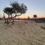 WhatsApp Image 2022-05-15 at 4.18.38 PM