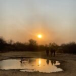 WhatsApp Image 2022-05-15 at 4.20.52 PM