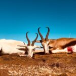 WhatsApp Image 2022-05-15 at 4.21.37 PM