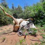 WhatsApp Image 2022-05-15 at 4.21.43 PM