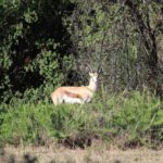 WhatsApp Image 2022-05-15 at 4.22.00 PM