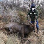 WhatsApp Image 2022-05-15 at 4.25.11 PM