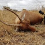 WhatsApp Image 2022-05-15 at 4.25.18 PM