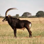 WhatsApp Image 2022-05-15 at 4.29.40 PM