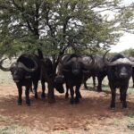 WhatsApp Image 2022-05-15 at 4.29.53 PM