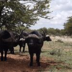 WhatsApp Image 2022-05-15 at 4.29.55 PM