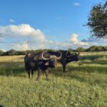 WhatsApp Image 2022-05-15 at 4.29.57 PM