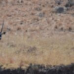 WhatsApp Image 2023-07-04 at 09.46.12 (2)