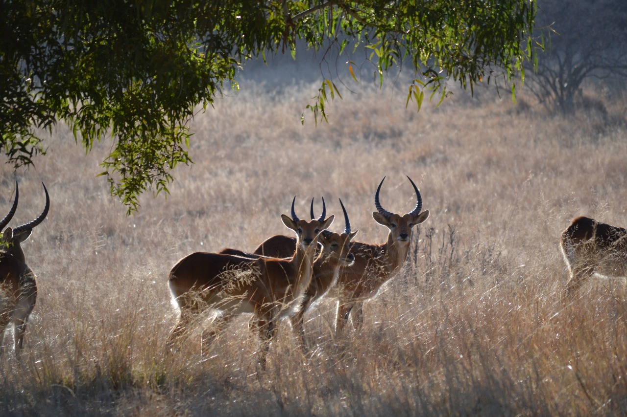 WhatsApp Image 2023-07-04 at 09.46.13 (2)