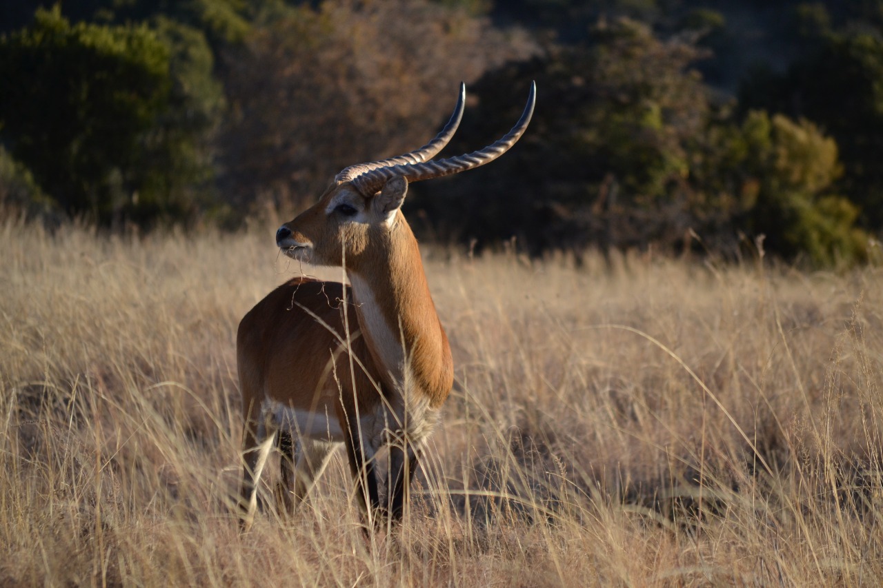 WhatsApp Image 2023-07-04 at 09.46.13 (3)