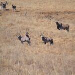 WhatsApp Image 2023-07-04 at 09.46.14 (2)