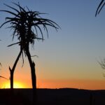 WhatsApp Image 2023-07-04 at 09.46.18