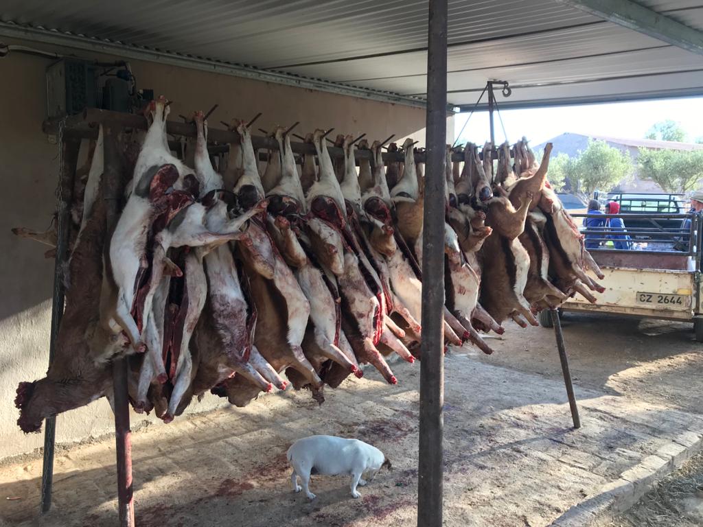 WhatsApp Image 2023-07-04 at 10.16.30