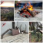 WhatsApp Image 2024-05-19 at 15.23.33_b16b9a2d