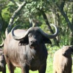 WhatsApp Image 2024-05-19 at 15.27.15_749ae2c6