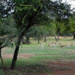 WhatsApp Image 2024-07-07 at 11.34.27_7030319e