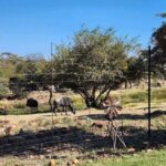 WhatsApp Image 2024-07-07 at 11.34.27_b9961f68